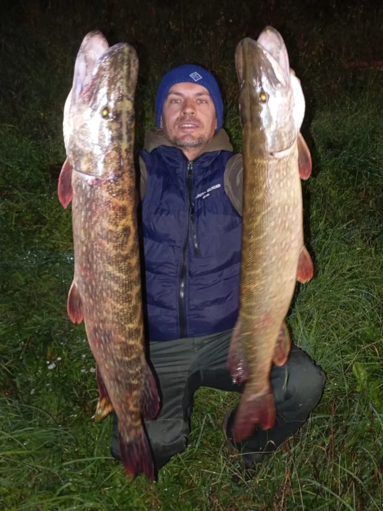 Detail lanka VisiLess