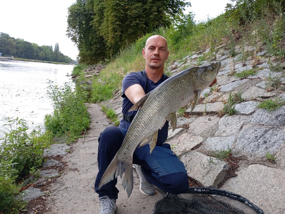 Neviditelné lanko na přívlač VisiLess