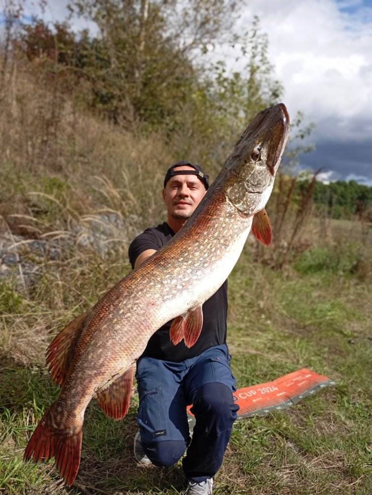 Přívlačová montáž s lankem VisiLess