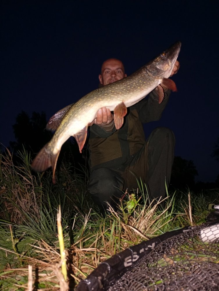 Lanko VisiLess proti štikám